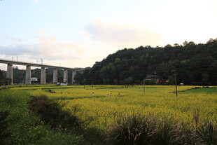 田野上的高架桥风景