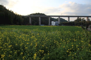 田野风光中的桥梁远景