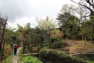 漫步山林间的徒步者