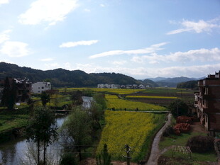 春日乡村田园风光美景