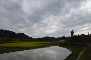 田园河畔 阴云下的自然景致