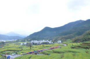 山间绿野中的村落美景