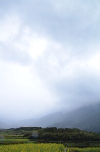 田野上空的多云天气