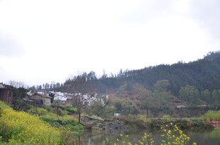 山村春日美景如画