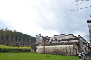 徽派古建旁的绿野风光