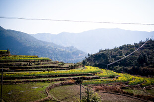 山间梯田美景