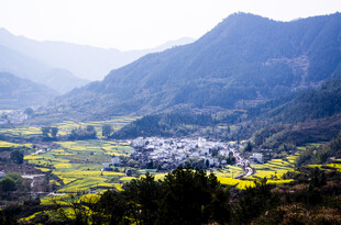 山间村落与金黄田野美景