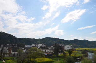 田园风光美景如画