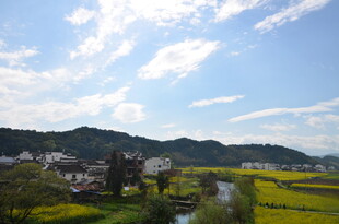 田园风光美景如画