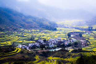 山间村落油菜花田美景