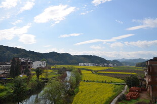 春日田园风光美景