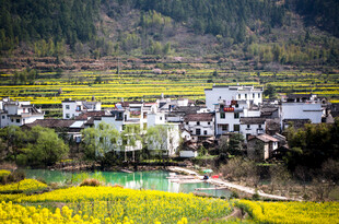 春日乡村美景如画