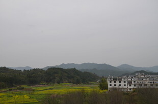 乡村田野间的白墙建筑