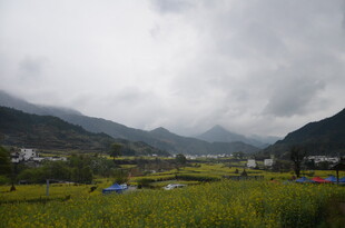 山间绿野田园风光美景