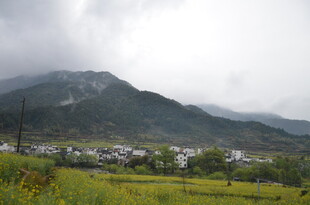 山间田园风光 云雾缭绕