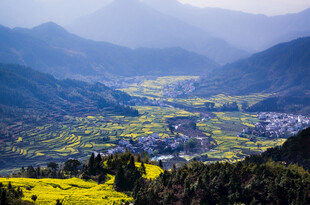 山间油菜花田中的美丽村落