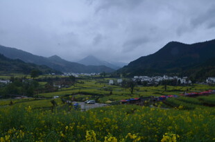 山间花海村落 云雾美景