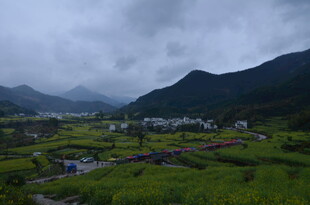 山间绿野村庄 云雾缭绕景
