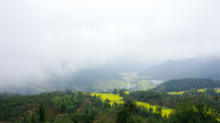 云雾缭绕中的山间黄绿景致