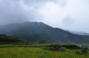 山间绿野 云雾缭绕美景