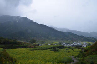 山间绿野村庄美景