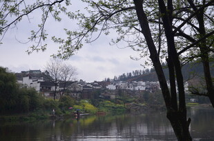 湖畔春景 树影与村落相映