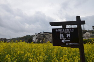 田园风光指示牌