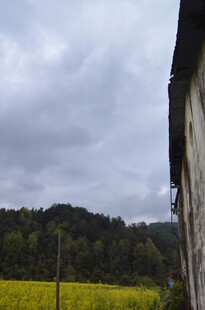 乡村田野边的房屋与风景