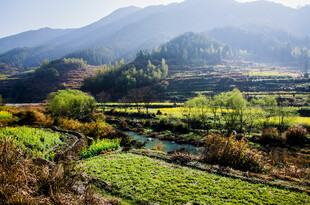 田园风光 山间多彩农田美景