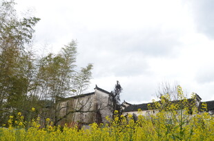 乡村田野中的古朴小屋