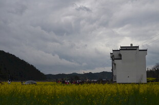 田野中的白色建筑
