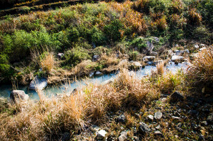 山间溪流 自然野趣之景