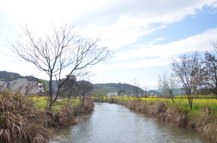 乡村小河畔的春日风光