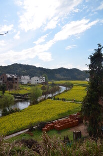 田园风光美景如画