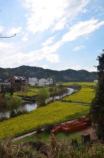 春日乡村田园美丽风光