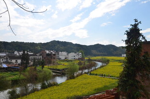 乡村田园风光美景如画