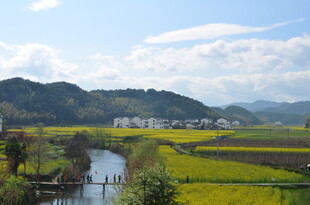 春日乡村田园风光美景