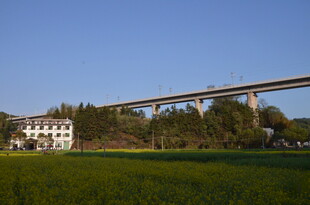 田野上的高架桥与房屋