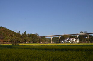 田野上的高架桥
