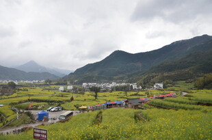 山间绿野中的村庄美景