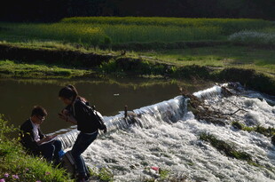 河边嬉戏的人们