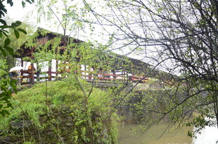 河畔古桥隐于葱郁草木间