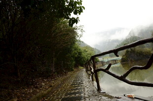 雨中骑行道 近景绿意与河流