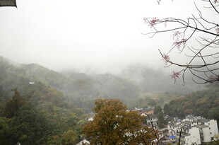 山间雾霭中的村落景致