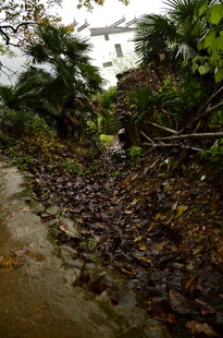 雨后湿润的碎石小径