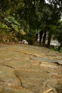 林间石板小径上的行人