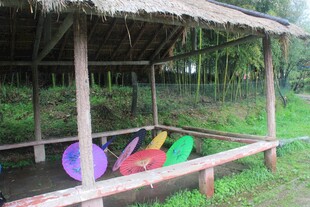 户外草棚下的多彩皮划艇