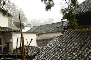 雨中古朴村落屋顶景观