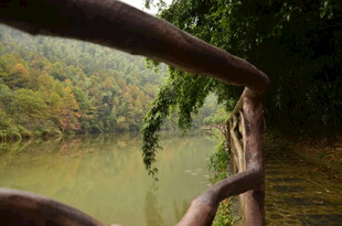 河畔木栏 自然静谧之景