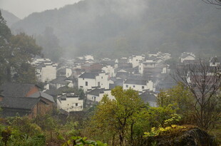 雾中乡村美景